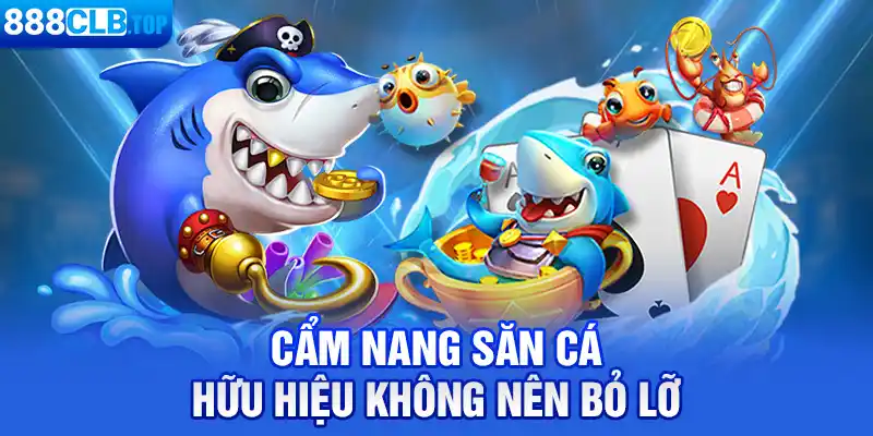 Cẩm nang săn cá hữu hiệu không nên bỏ lỡ 