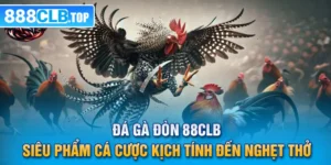 Đá Gà Đòn 88CLB - Siêu Phẩm Cá Cược Kịch Tính Đến Nghẹt Thở