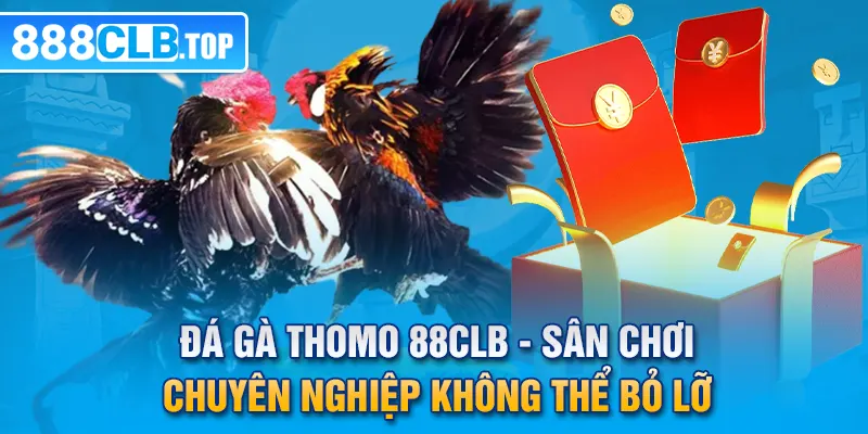 Đá Gà Thomo 88CLB - Sân Chơi Chuyên Nghiệp Không Thể Bỏ Lỡ