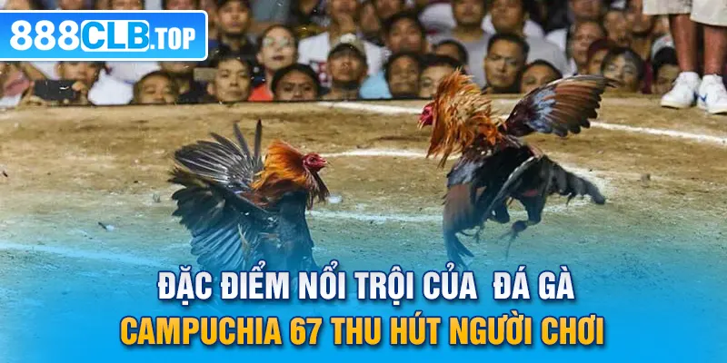 Đặc điểm nổi trội của  đá gà Campuchia 67 thu hút người chơi 