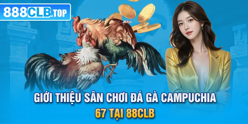 Giới thiệu sân chơi đá gà Campuchia 67 tại 88CLB