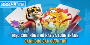 Mẹo Chơi Rồng Hổ Hay Và Luôn Thắng Dành Cho Các Cược Thủ