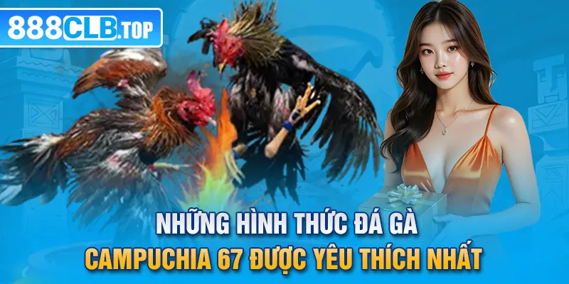 Những hình thức đá gà Campuchia 67 được yêu thích nhất 