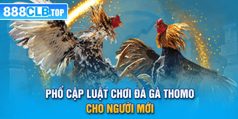 Phổ cập luật chơi đá gà Thomo cho người mới